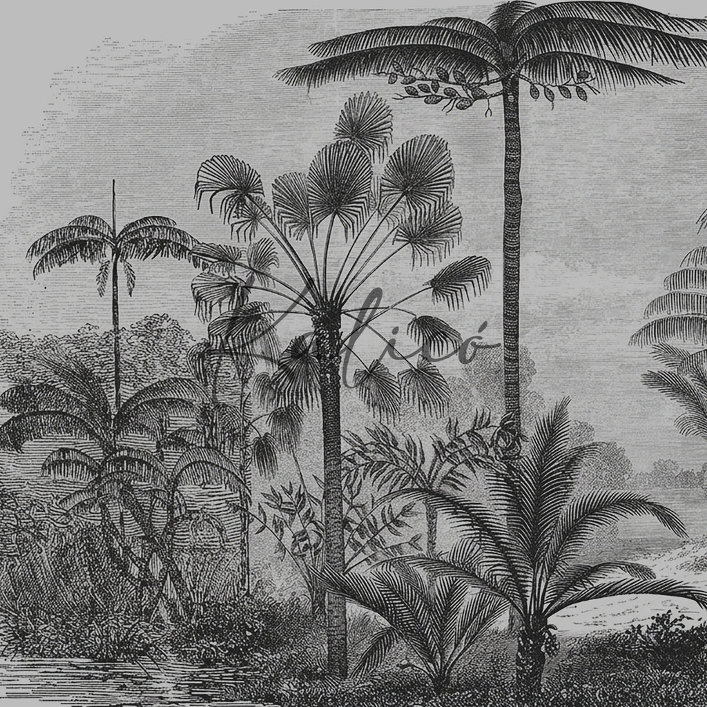 Amazonia