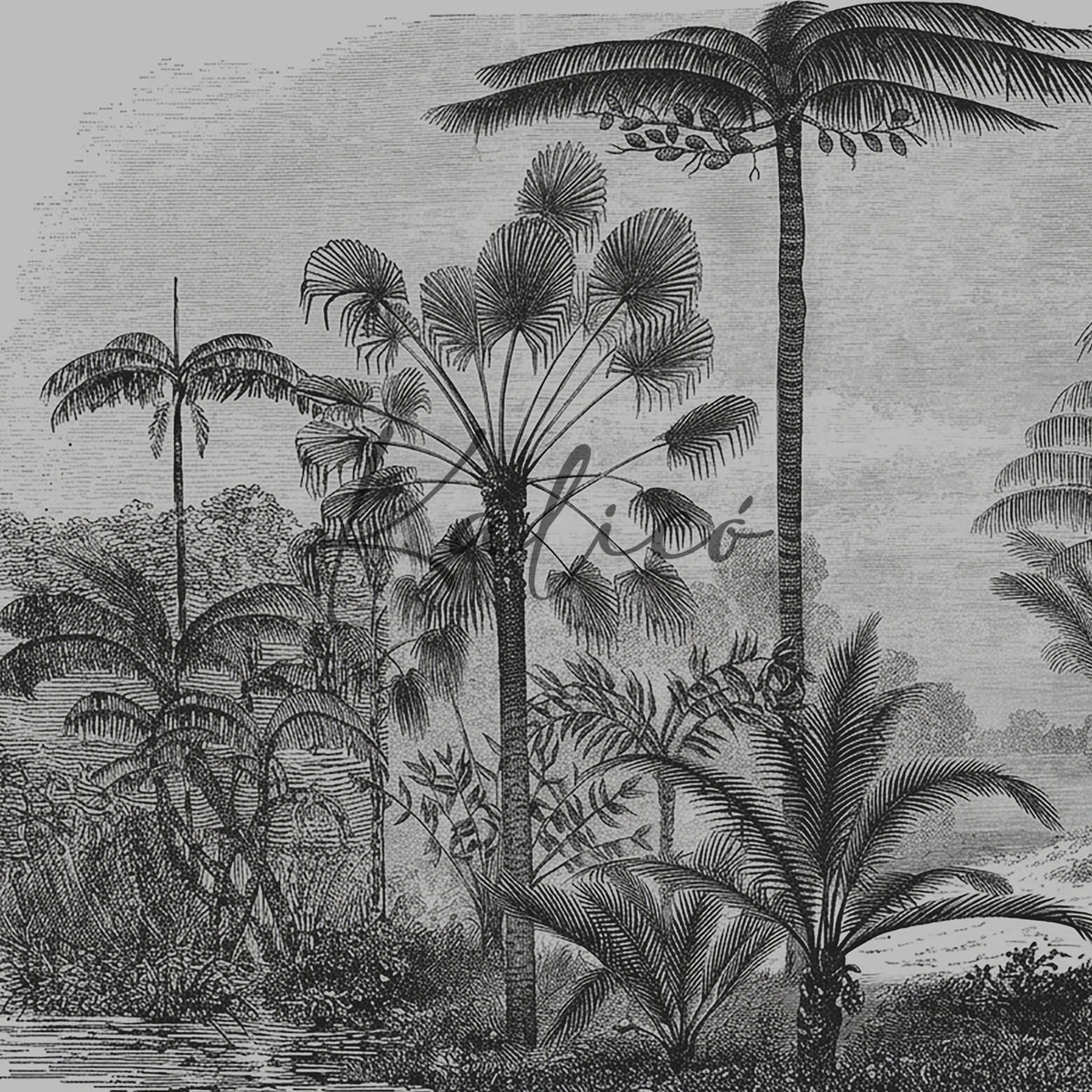 Amazonia