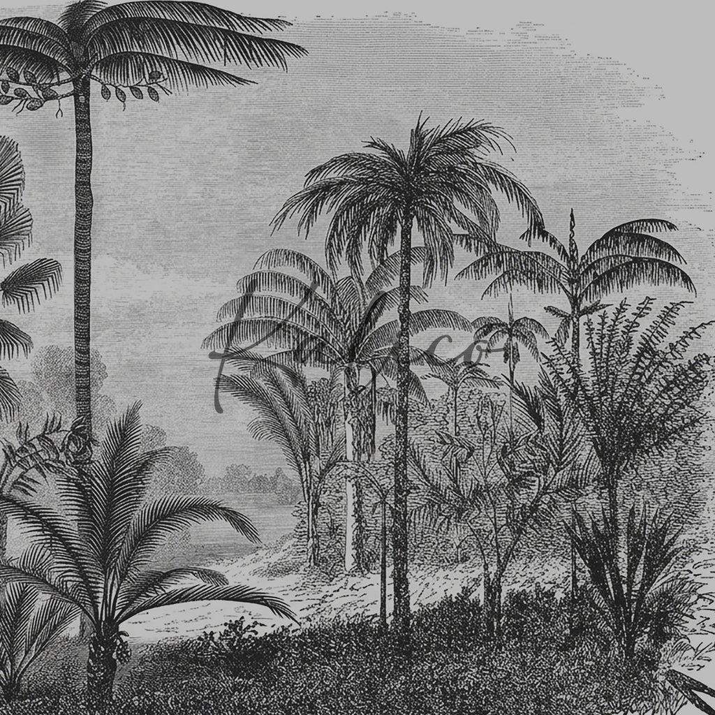 Amazonia