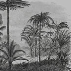 Amazonia