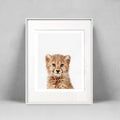 Baby Cheetah