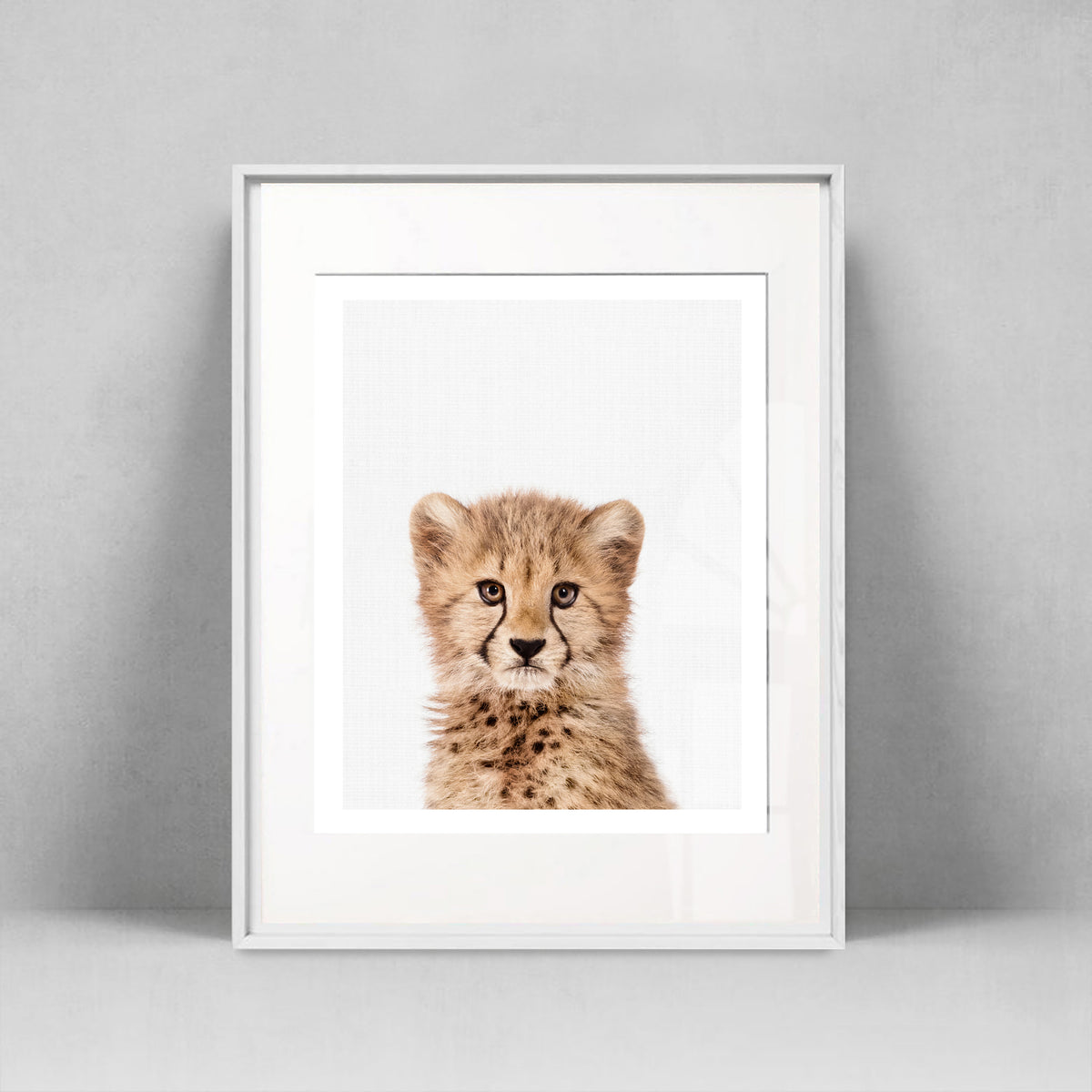 Baby Cheetah