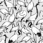 Birds Sketch