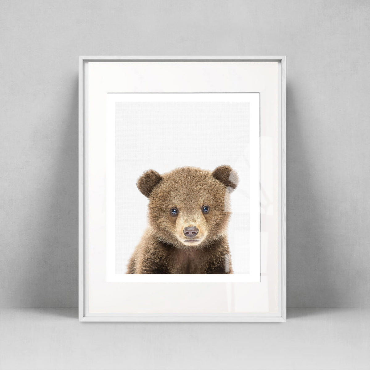 Brown Bear