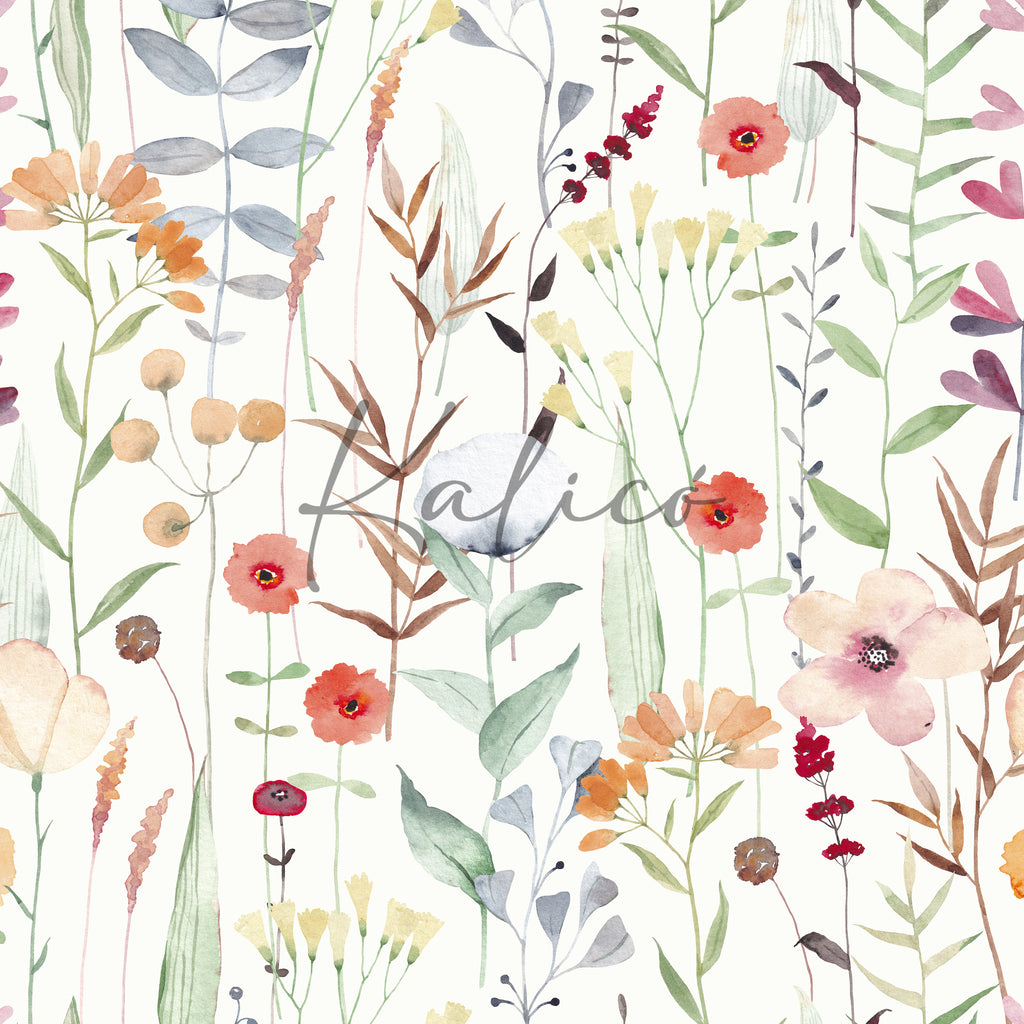 Color Botanica