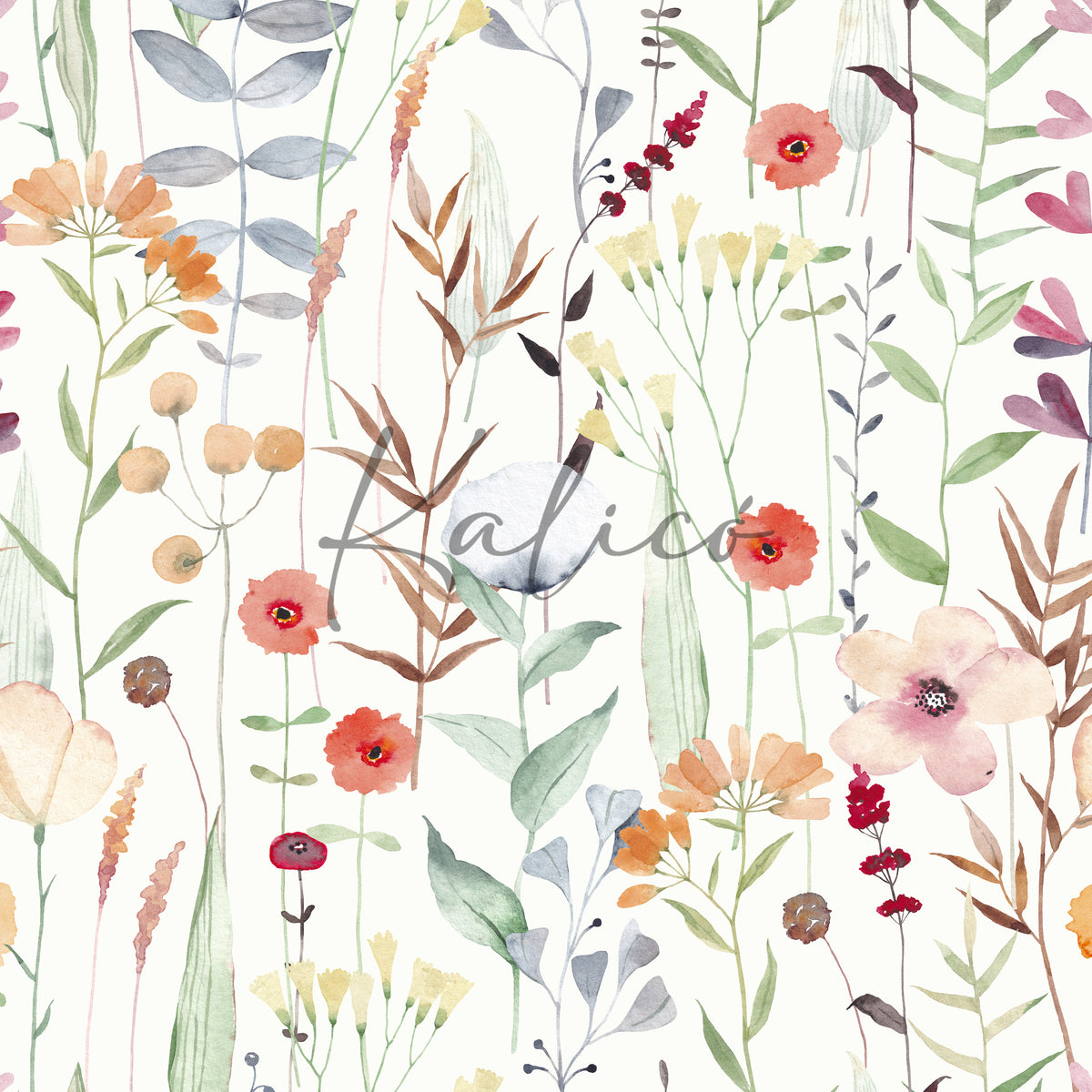 Color Botanica