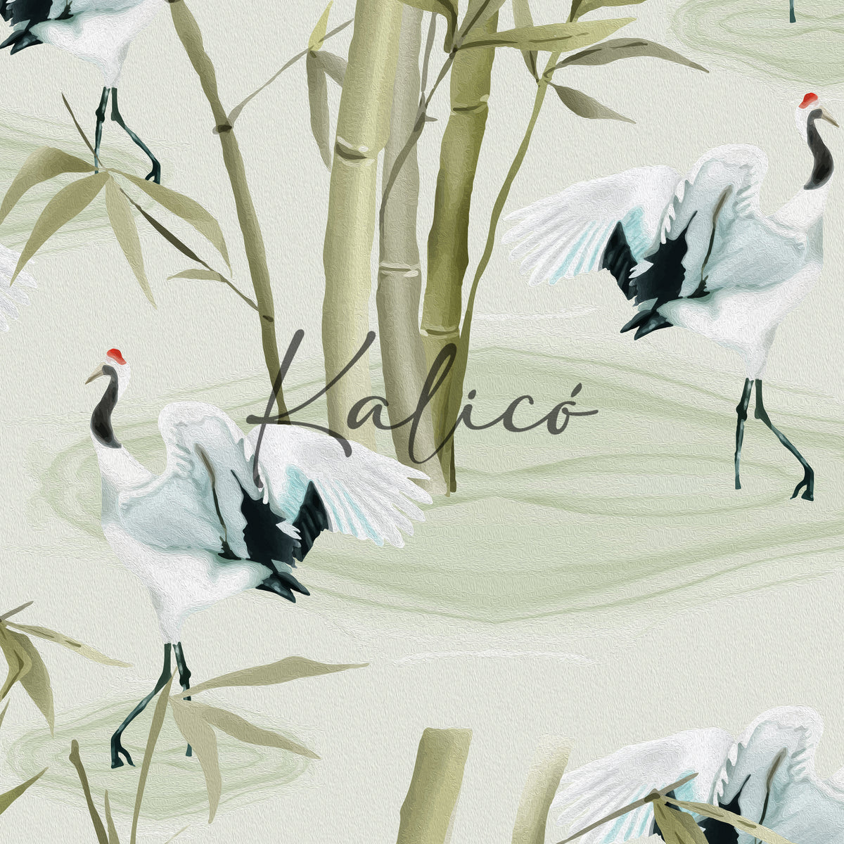 Imperial Egret