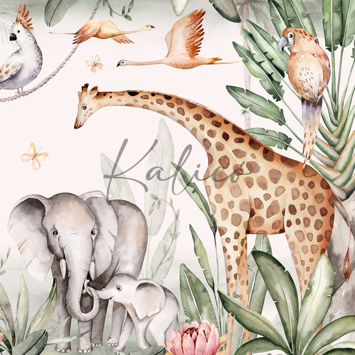 Jungle Story