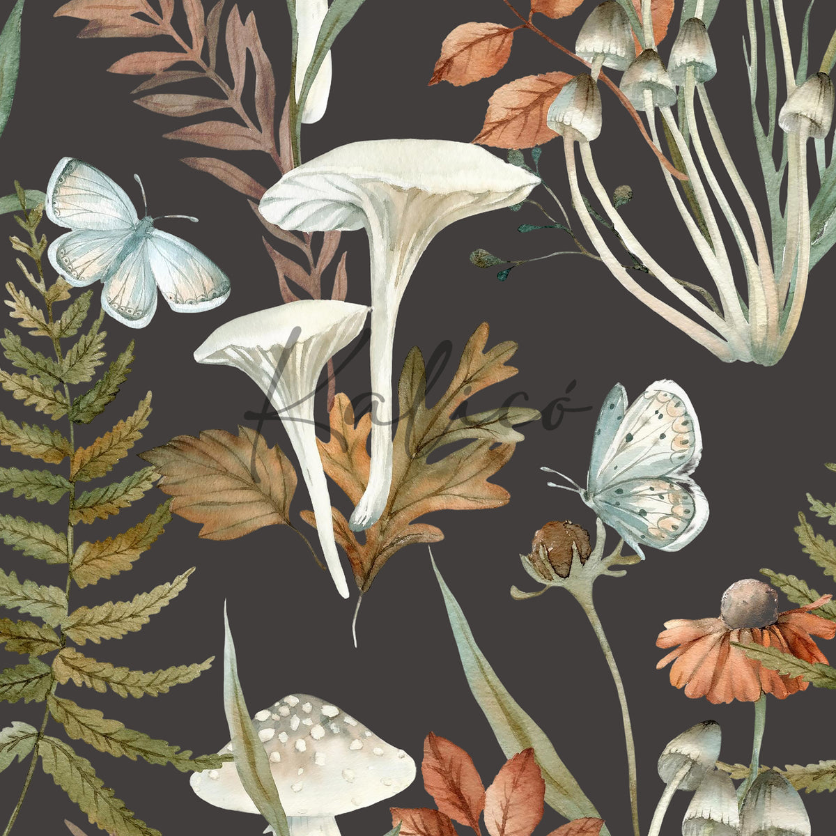 Mushroom Bloom