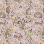 Playful Rabbit