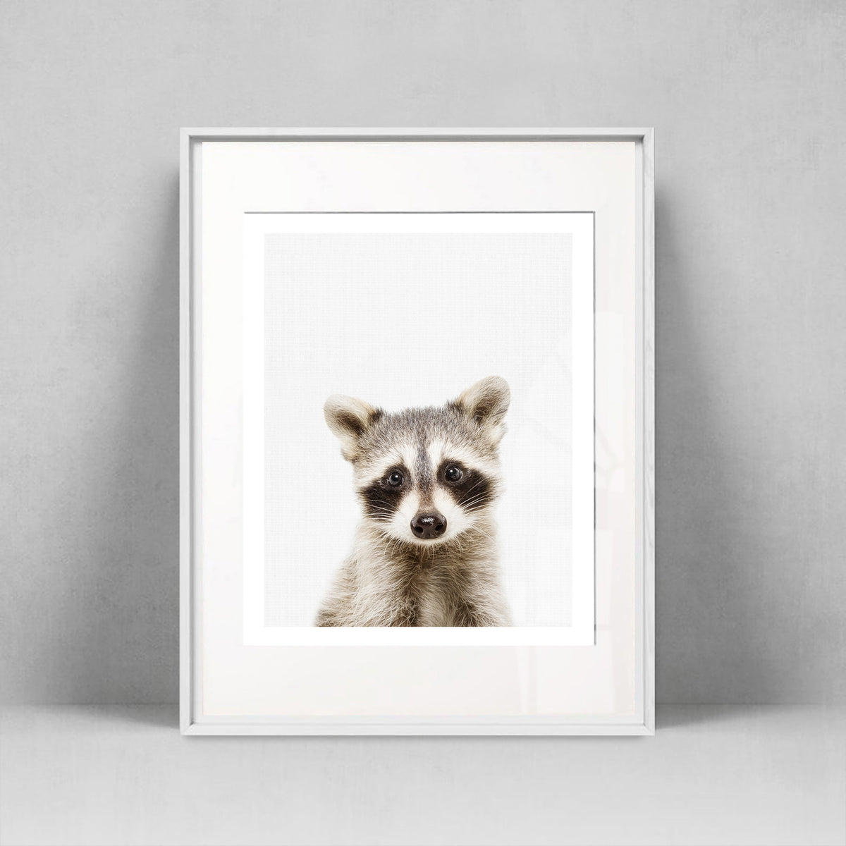 Raccoon