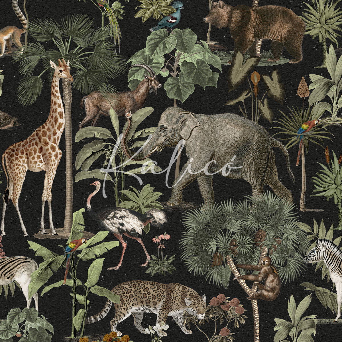 Serengeti Noir