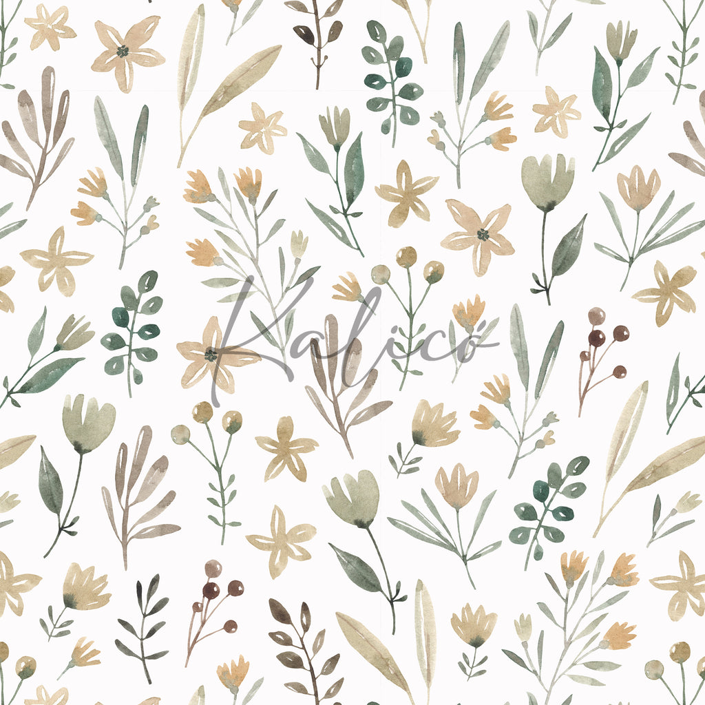 Soft Spring