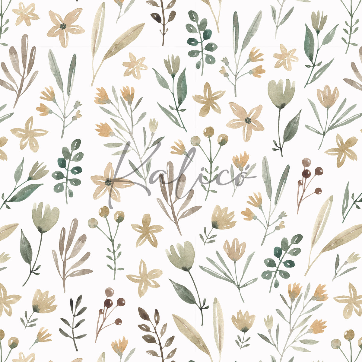 Soft Spring