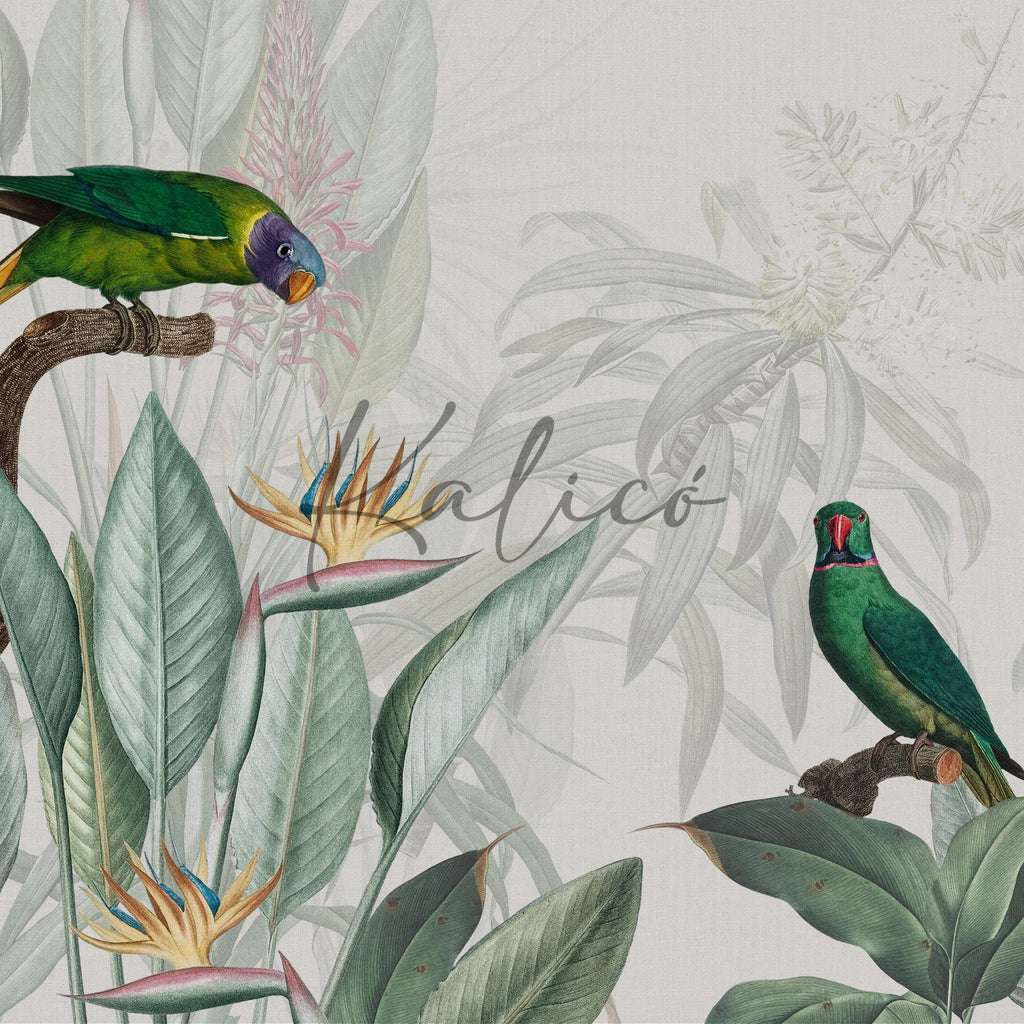 Tropical Air