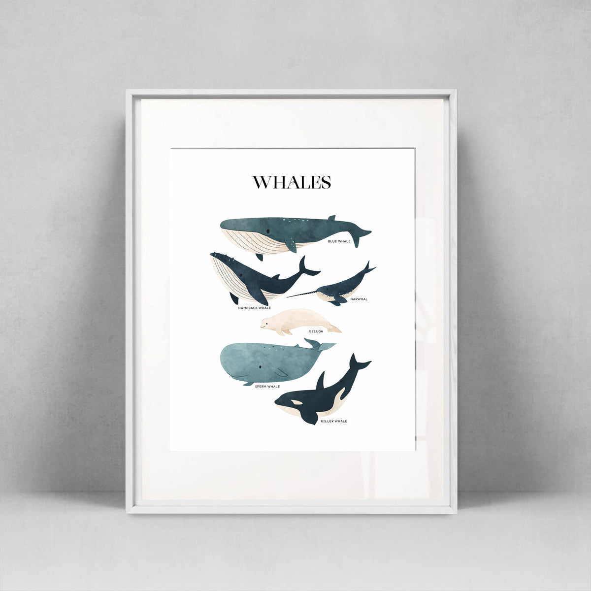 Whales
