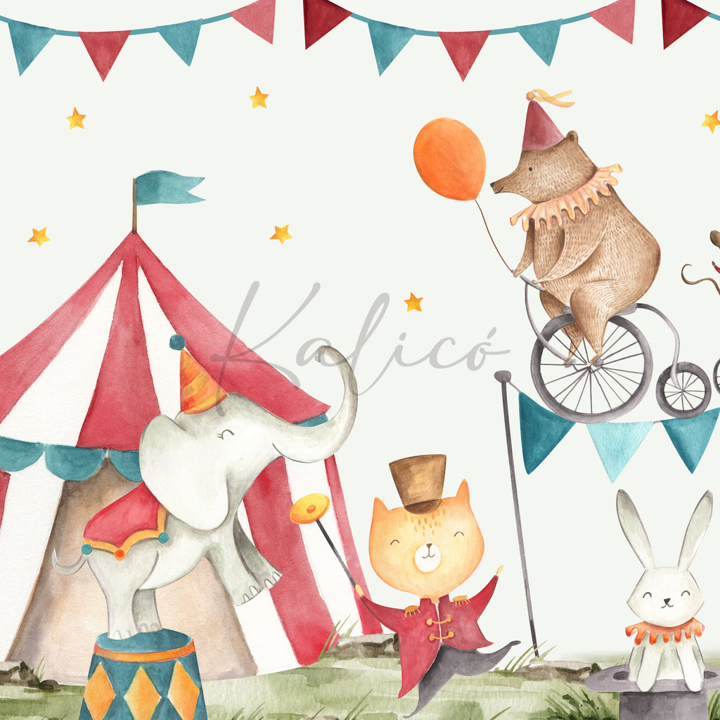 Colorful Circus